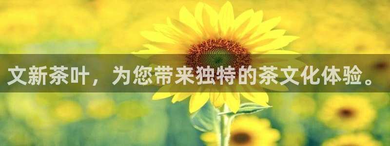 彩名堂免费计划下载