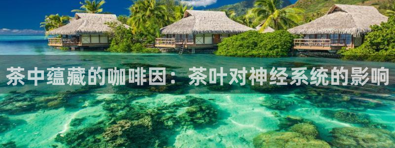 彩名堂免费计划官网怎么进不去了呀