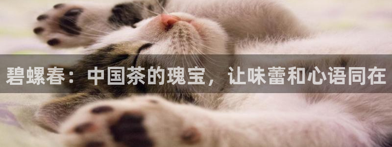 彩名堂客户端是永久免费吗安全吗是真的吗