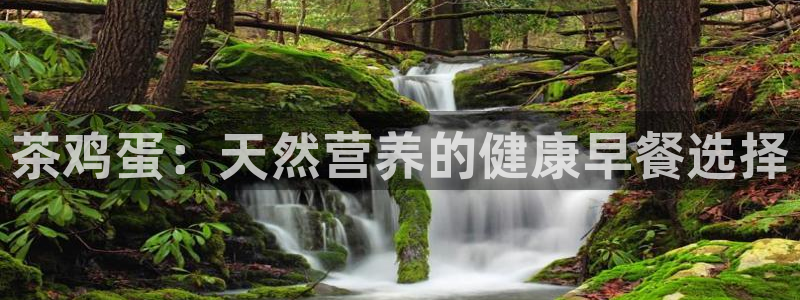 彩名堂官网客户端