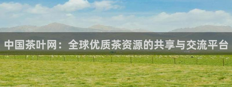 彩名堂全天计划