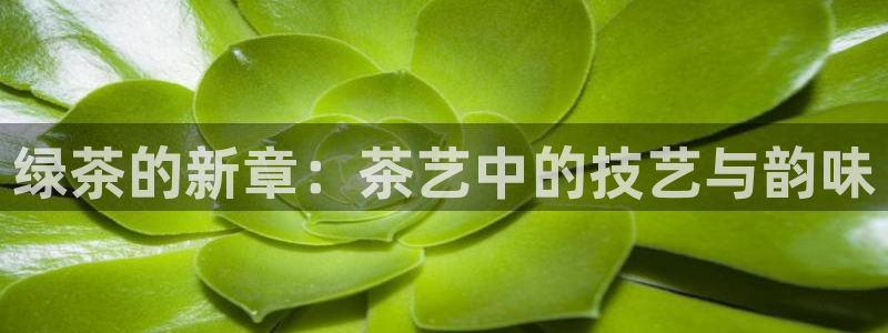 彩名堂最新计划app下载
