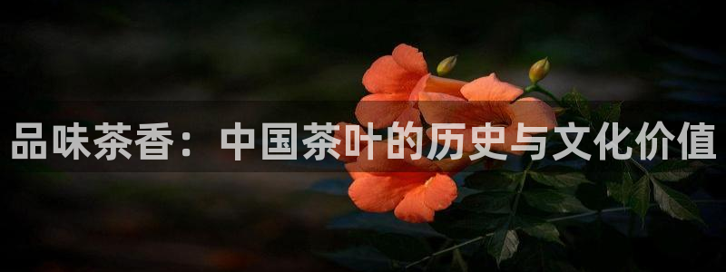彩名堂预测计划软件