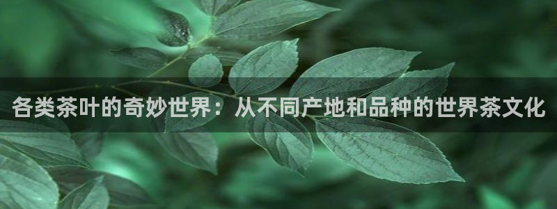 彩名堂是不是坑人的东西