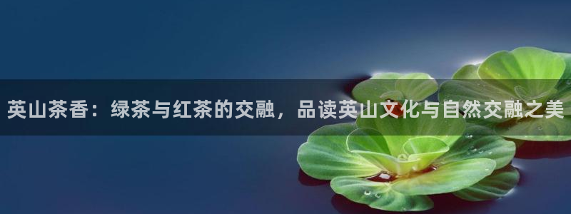 彩名堂计划软件下载