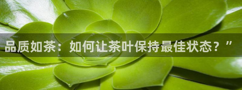 彩名堂免费计划5.0使用方法