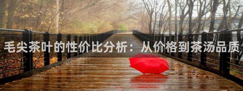 彩名堂改成什么名字了