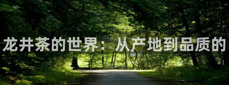 彩名堂排三