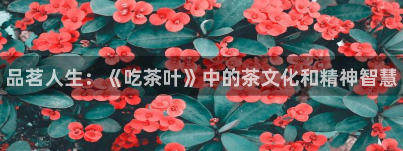 彩名堂预测官网