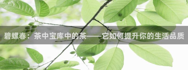 彩名堂人工计划客户端官网