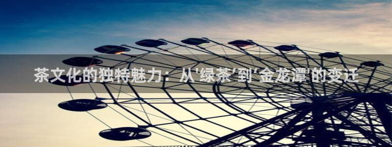 彩名堂计划技巧
