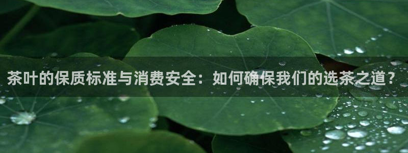 彩名堂最新版www
