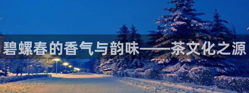 正规彩名堂官网计划