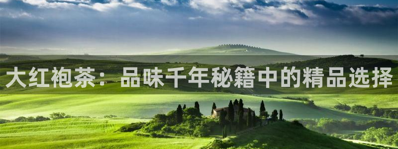 彩名堂官网计划怎么下载到手机