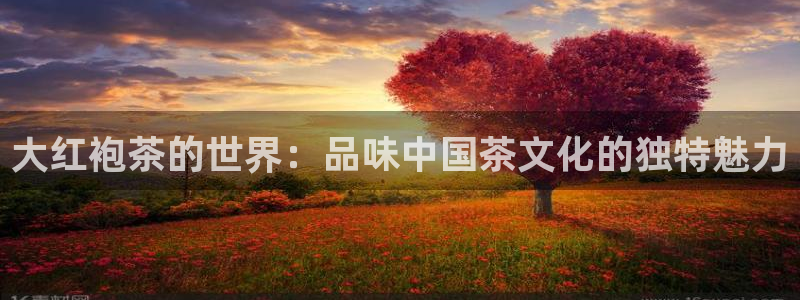 彩名堂改名稻草人了吗是真的吗
