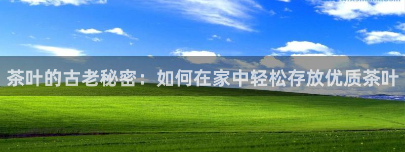 彩名堂免费计划下载