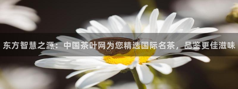彩名堂计划app安卓免费下载