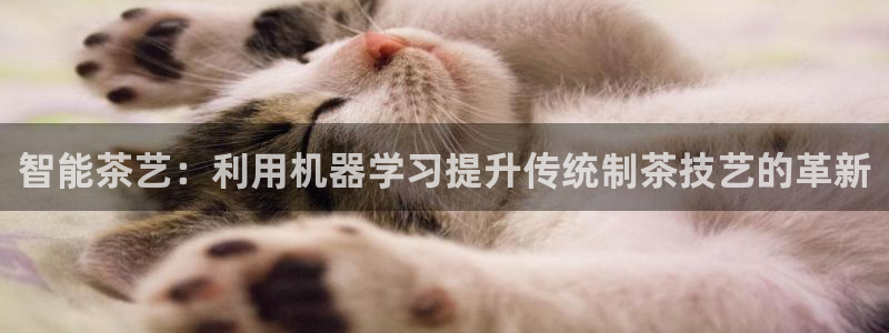彩名堂预测计划