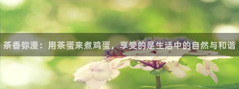彩名堂还可以用吗