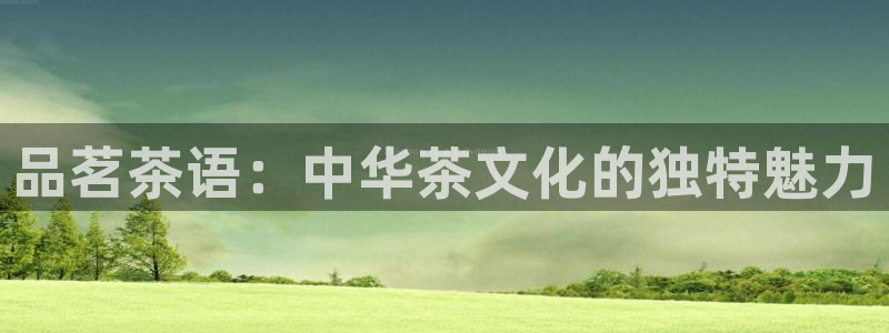 彩名堂预测