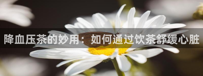 彩名堂