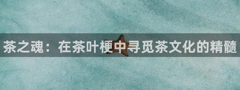 彩名堂计划真的准吗