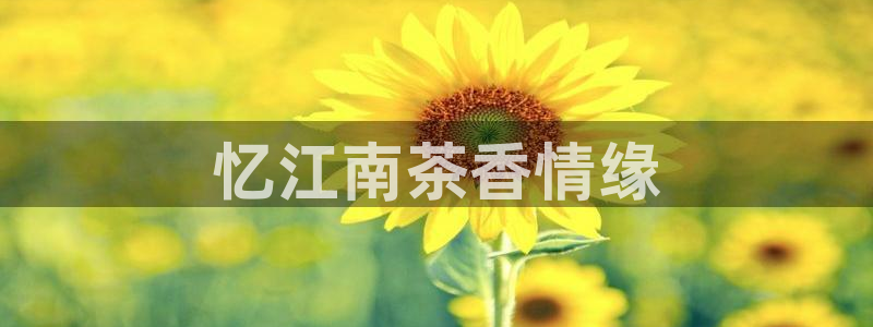 彩名堂预测软件