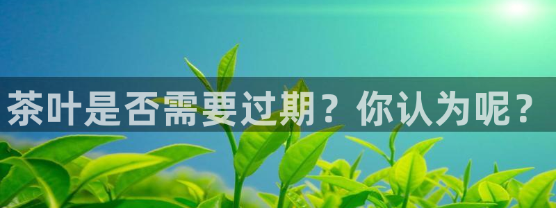 彩名堂怎么打最稳