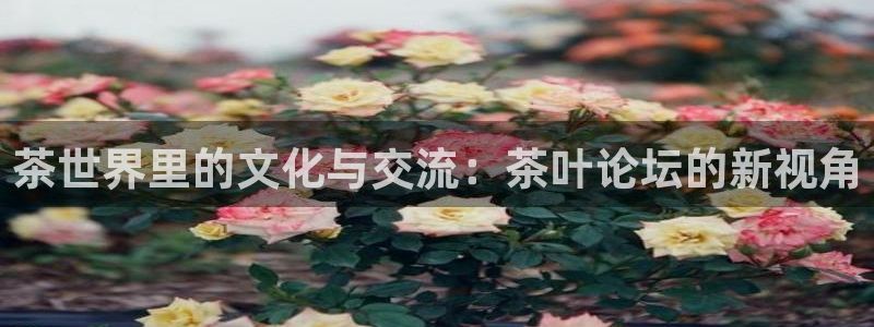 彩名堂怎么买准确率高一点