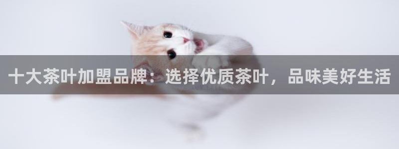 彩名堂客户端是永久免费吗安全吗苹果