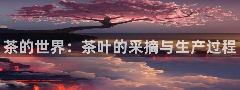 彩名堂是不是不能用了吗