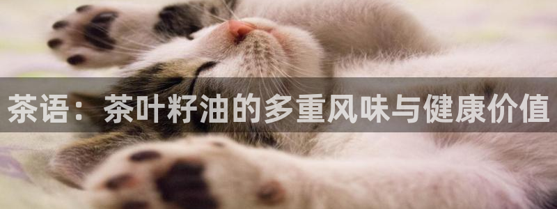 彩名堂客户端是永久免费吗是真的吗吗