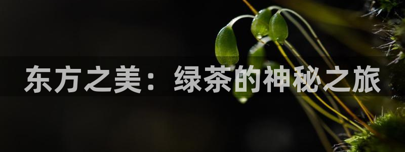 彩名堂怎么买准确率高