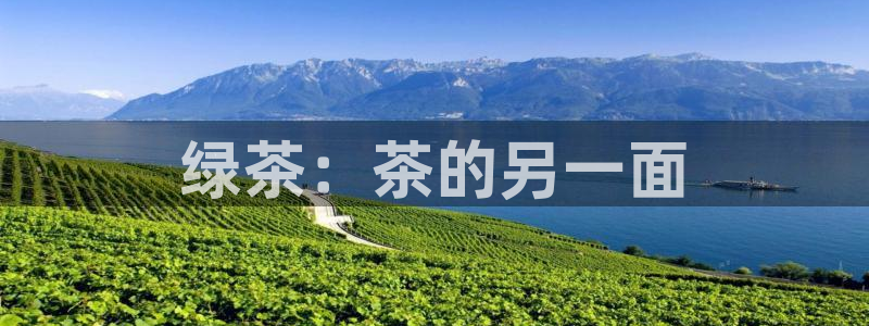 彩名堂计划怎么出的