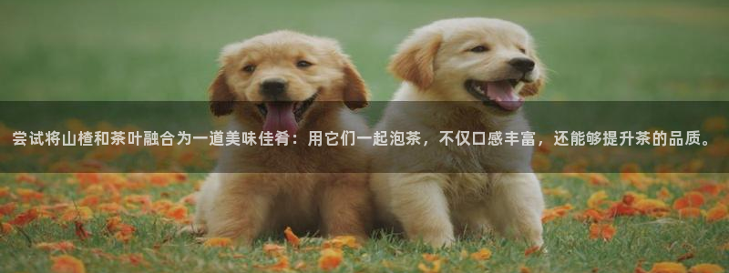 彩名堂计划怎么买胜率高