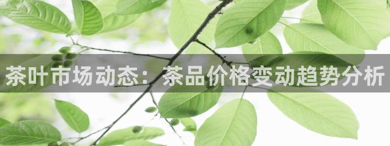 彩名堂网页