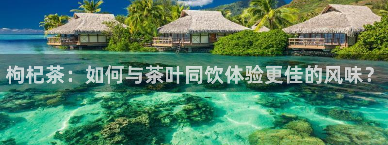 下载苹果手机版彩名堂