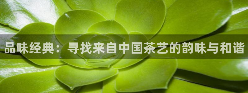 彩名堂旧版本