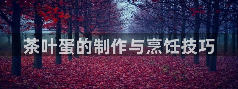 彩名堂旧版本
