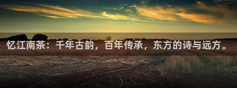 彩名堂预测官网