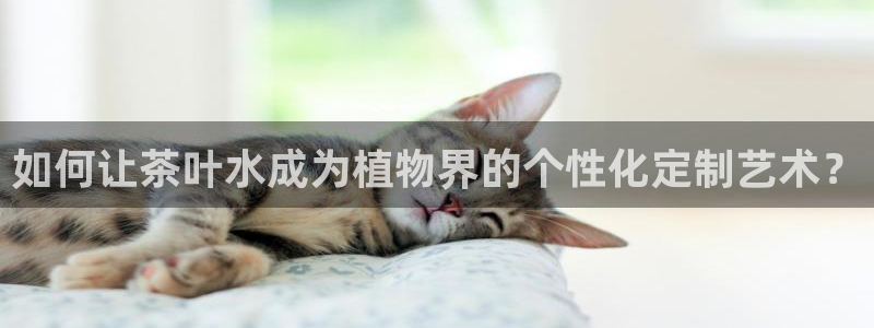 彩名堂预测计划软件