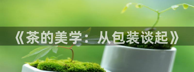 彩名堂图片
