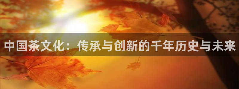 彩名堂计划app新版