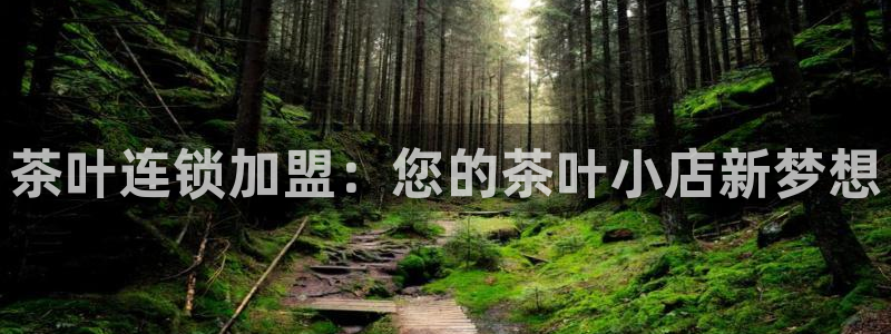 彩名堂计划真的准吗