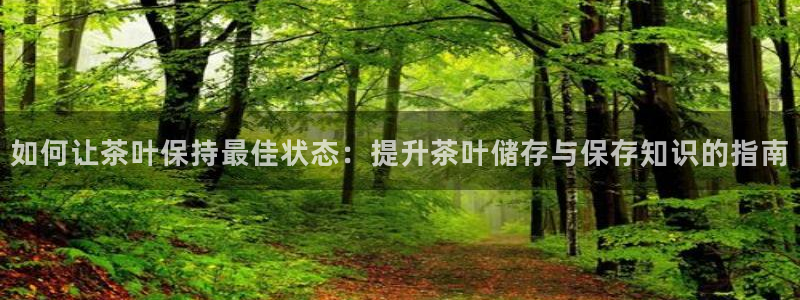 最新彩名堂计划