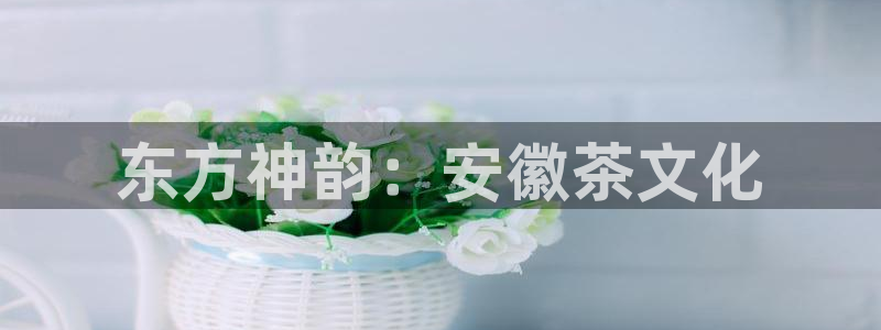 彩名堂还可以用吗