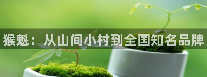彩名堂到底怎么看,一跟就挂