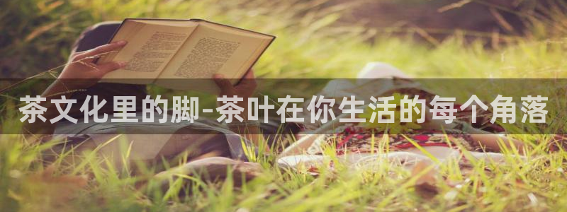 彩名堂图片