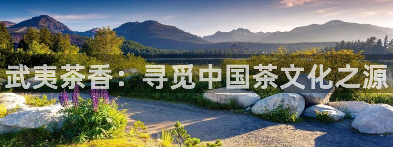 彩名堂使用方法
