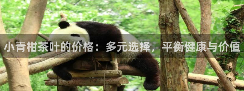 彩名堂官网在线计划怎么不更新了